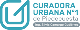 Curadora Urbana No.1 de Piedecuesta